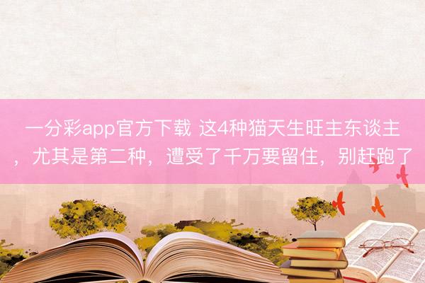 一分彩app官方下载 这4种猫天生旺主东谈主,尤其是第二种,遭受了千万要留住,别赶跑了