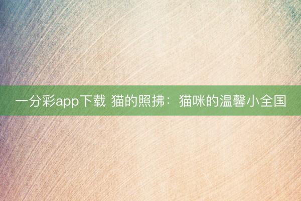 一分彩app下载 猫的照拂：猫咪的温馨小全国