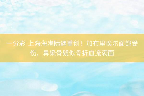 一分彩 上海海港际遇重创！加布里埃尔面部受伤，鼻梁骨疑似骨折血流满面