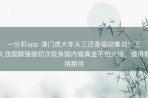 一分彩app 津门虎大年头三还是驱动集训！三位久违国脚强援初次现身国内锻真金不怕火场，值得期待