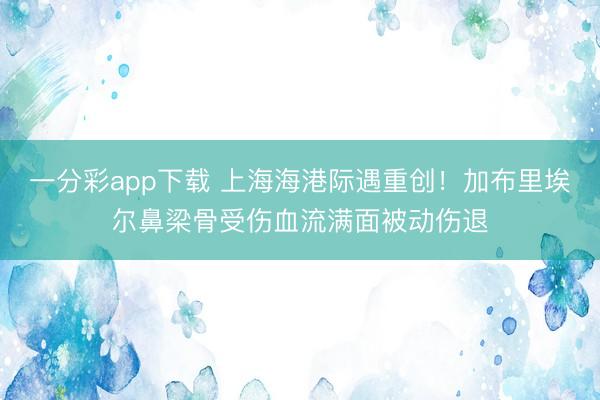 一分彩app下载 上海海港际遇重创！加布里埃尔鼻梁骨受伤血流满面被动伤退