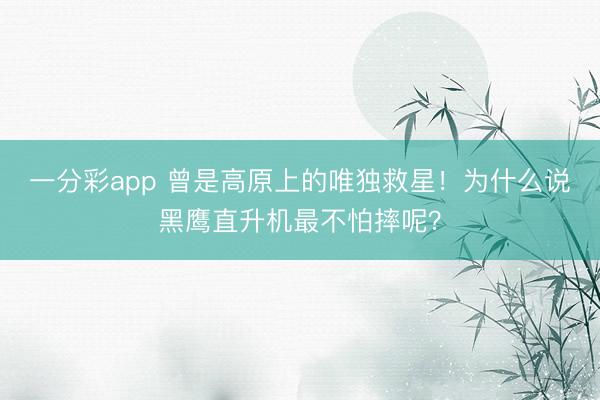 一分彩app 曾是高原上的唯独救星!为什么说黑鹰直升机最不怕摔呢?